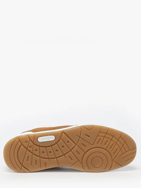 Baskets Partner Piste  Lacoste Marron men SMA0071 vue secondaire 4